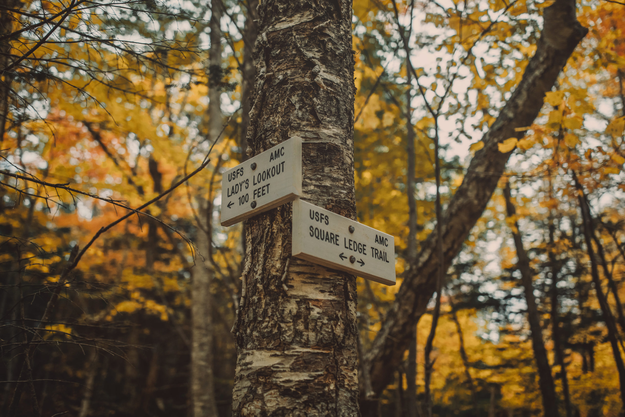 Oct. 9, 2019. Sign for Square Ledge Trail, Pinkham Notch, White Mountain National Forest, New Hampshire-- Photo by Paula Champagne. Sign for Square Ledge Trail, Pinkham Notch, White Mountain National Forest, New Hampshire